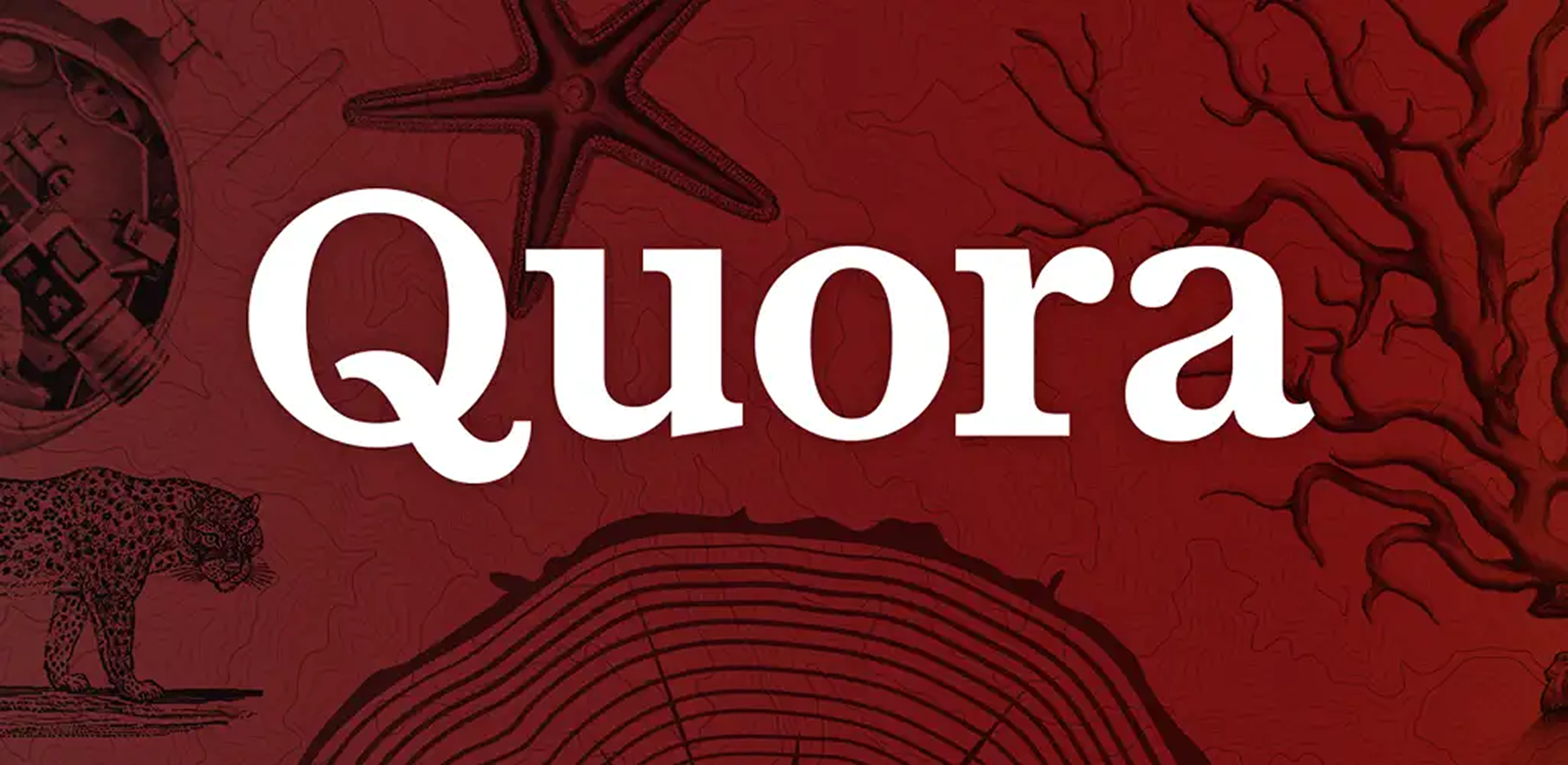 Quora Clone App Development Company