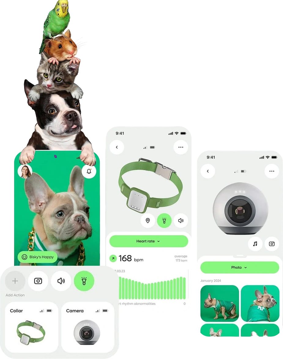 Pet Care App Development Company