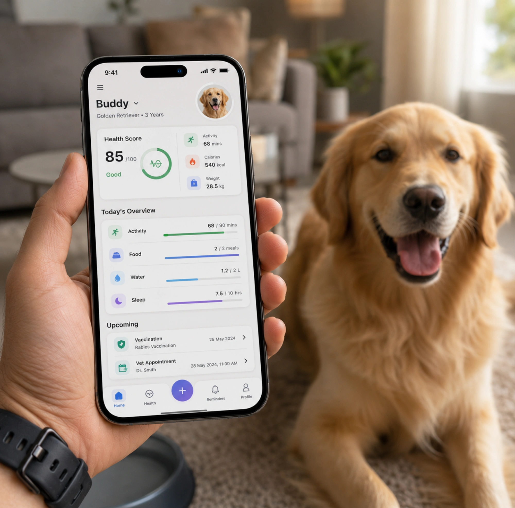 Pet Health Tracking App Development
